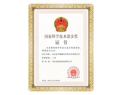 國(guó)家科學(xué)進(jìn)步獎(jiǎng)